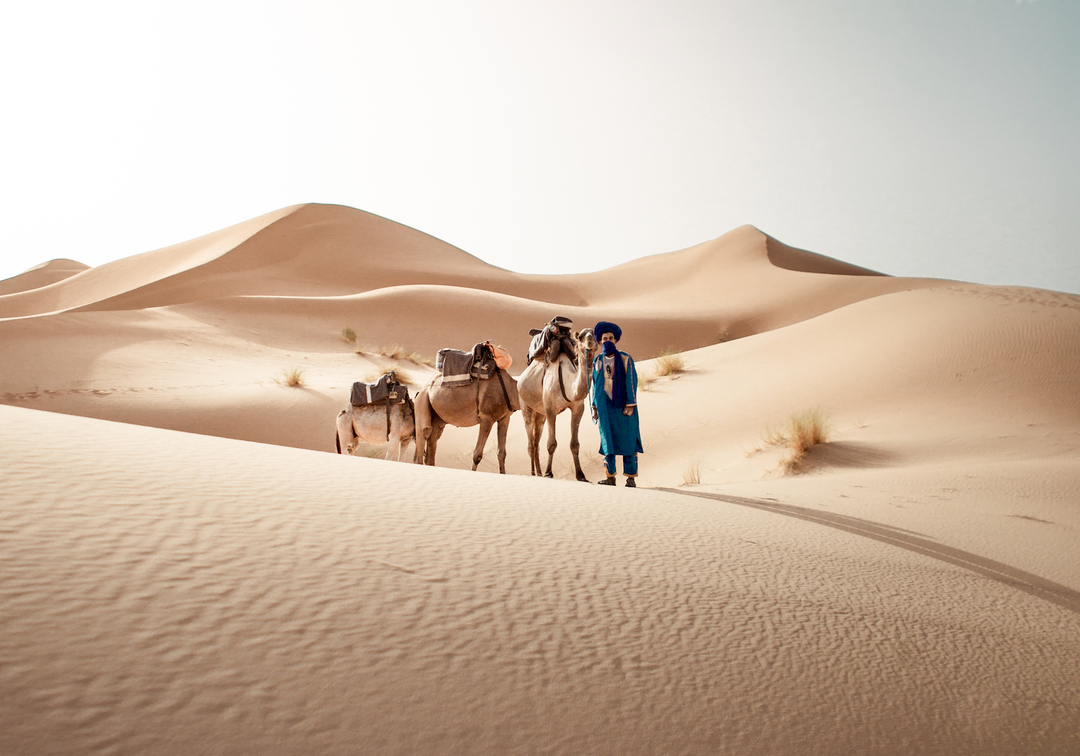 Africa Morocco Desert Tours